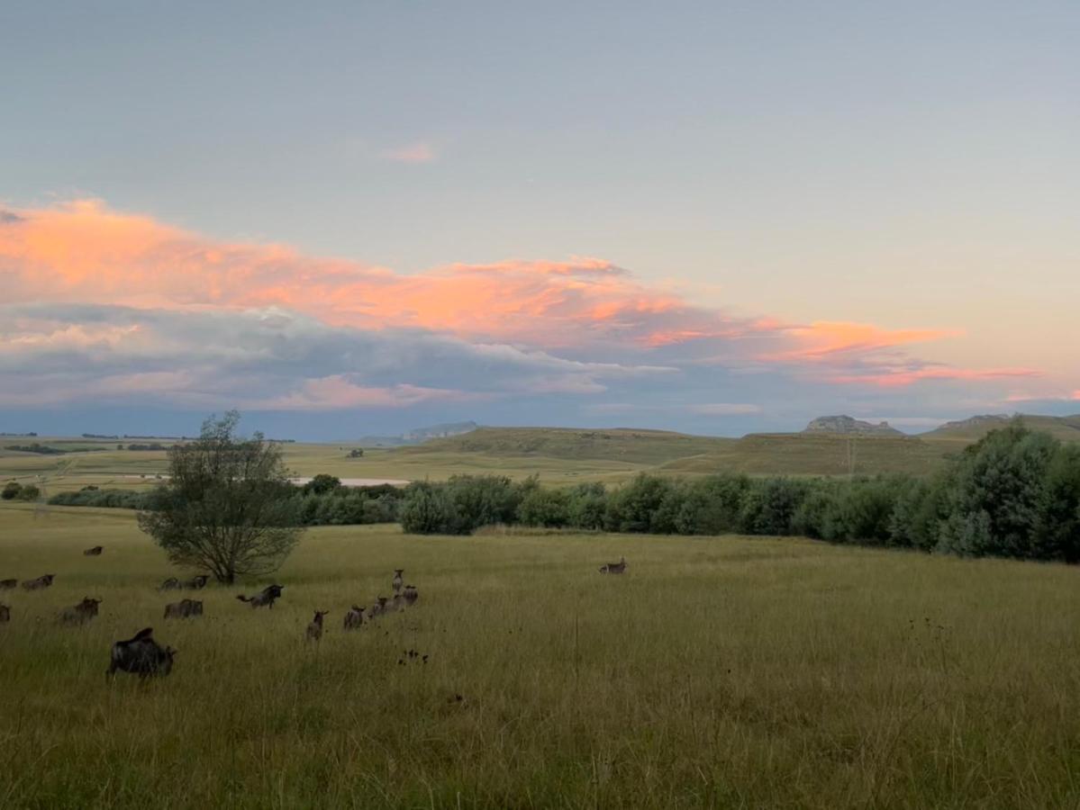 Buffalo Hills Private Game Reserve Harrismith Esterno foto