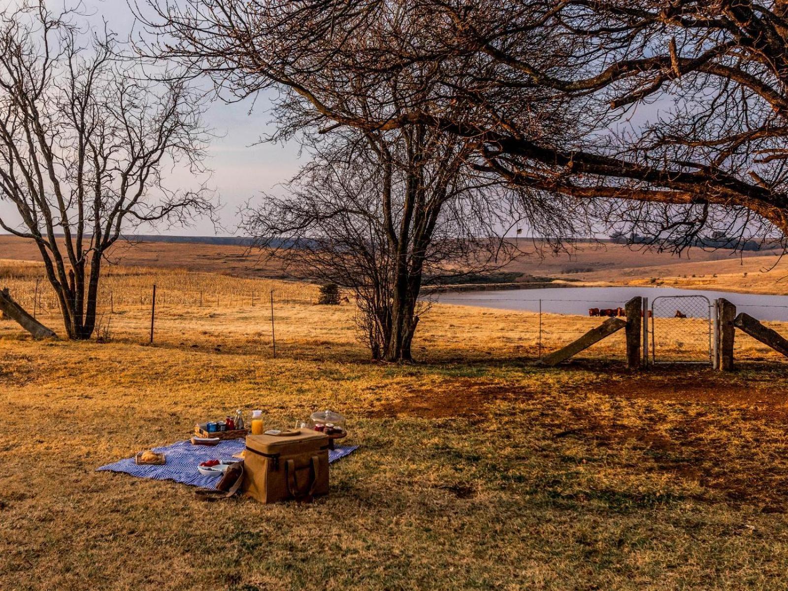 Buffalo Hills Private Game Reserve Harrismith Camera foto